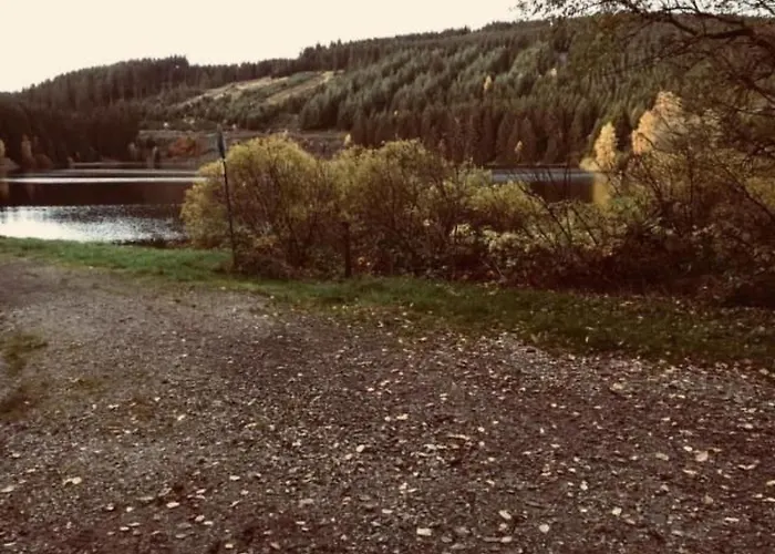 Feriendomizil Adler By Interhome Apartment Goslar