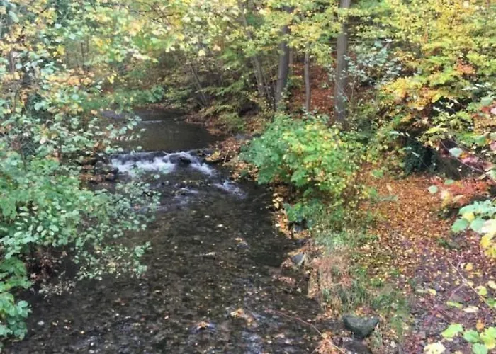 Feriendomizil Adler By Interhome Apartment *