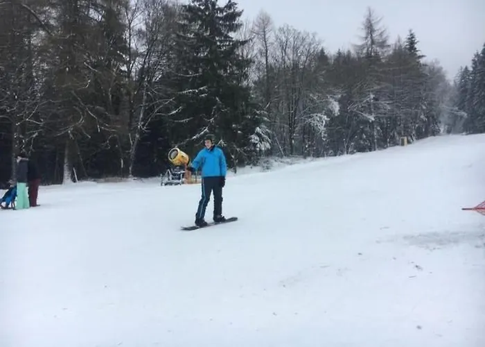 Feriendomizil Adler By Interhome Apartment Goslar