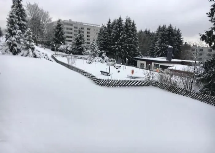 Feriendomizil Adler By Interhome Apartment *