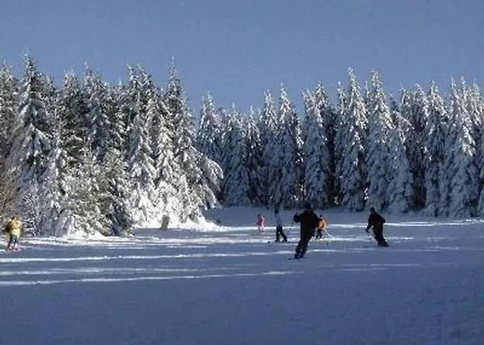 Apartment Feriendomizil Adler By Interhome Goslar